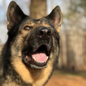 Meet your Posher, Alison